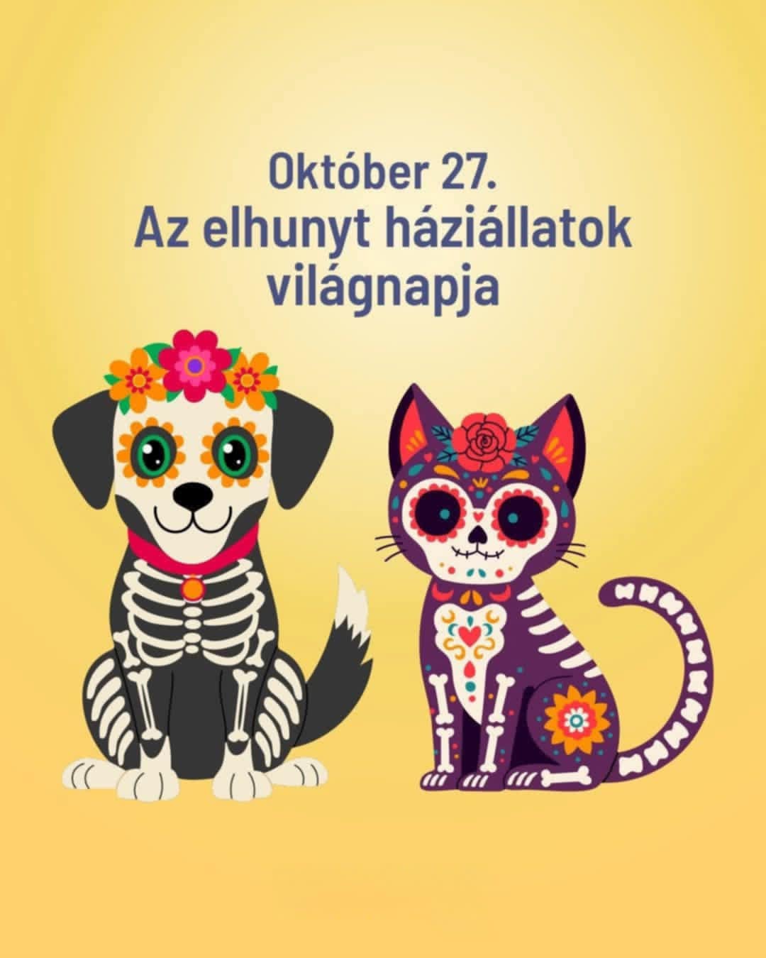 Fénykép megnyitása